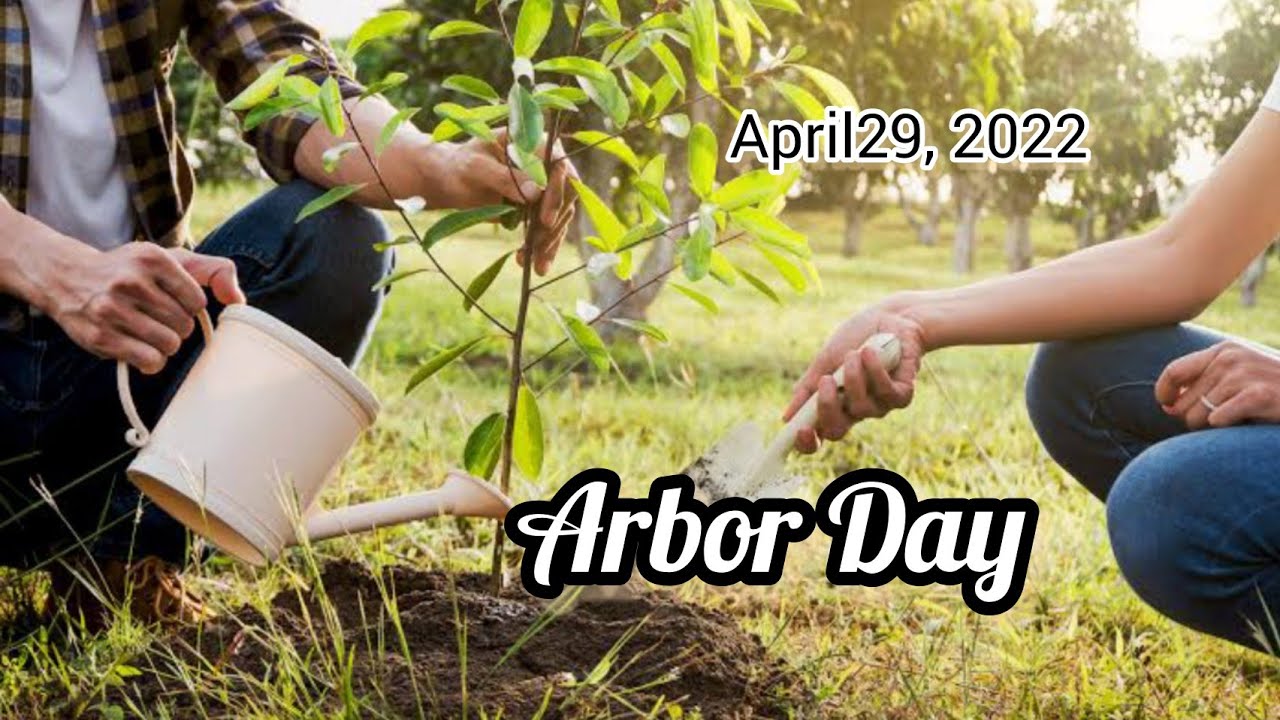 People Celebrate Arbor Day in Unique Ways