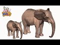 เพลงช้าง ช้าง ช้าง เพลงเด็ก | The Elephant Song for Kids  3D Animated HD