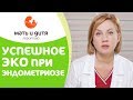 👩  ЭКО при эндометриозе: шансы на беременность. ЭКО при эндометриозе шансы. 12+