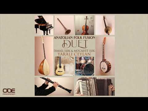 Yaralı Ceylan /
