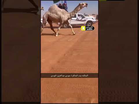 حاكمة الشقح فردية موسى بن عبد العزيز الموسى الدوسري البدارين الدواسر