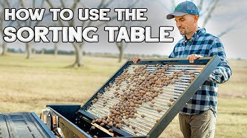 How To Use the Sorting Table- Best Practices for Sorting Pecans