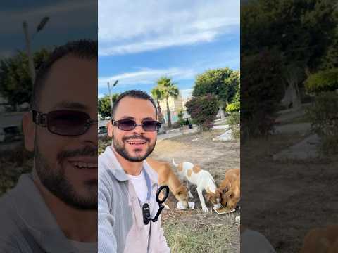 كأنو جعانين اوي