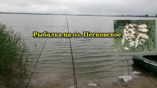 Рыбалка с лодки и берега. Не думал, что клюнут такие караси! Закормил место с вечера и подошли они..