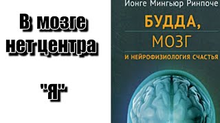 3-Ая Часть #Мозг #Нейрофизиология #Буддизм #Наука #Ум #Йонге #Мингьюр #Ринпоче