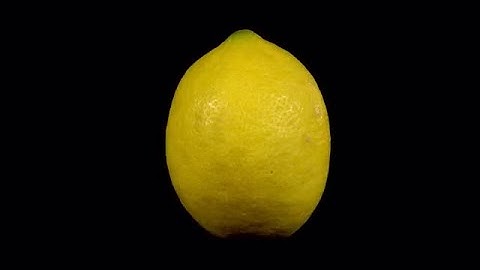 Lemon Rotates Stock Video