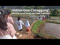 Hidden Gem Cimanggung! Jalan Kaki Lewat Sawah dari Candi Cicalengka @MangIwanTV 