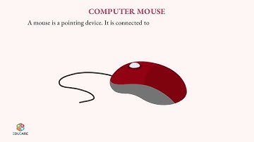 More about Mouse | Chapter 4 | Concept IT - 2