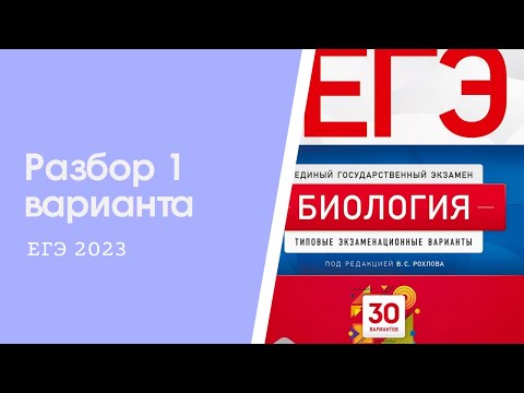 Разбор 1 варианта из сборника Рохлова ЕГЭ 2023