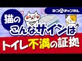 猫はトイレには非常に敏感！トイレの不満の理由と快適なトイレ環境の作り方