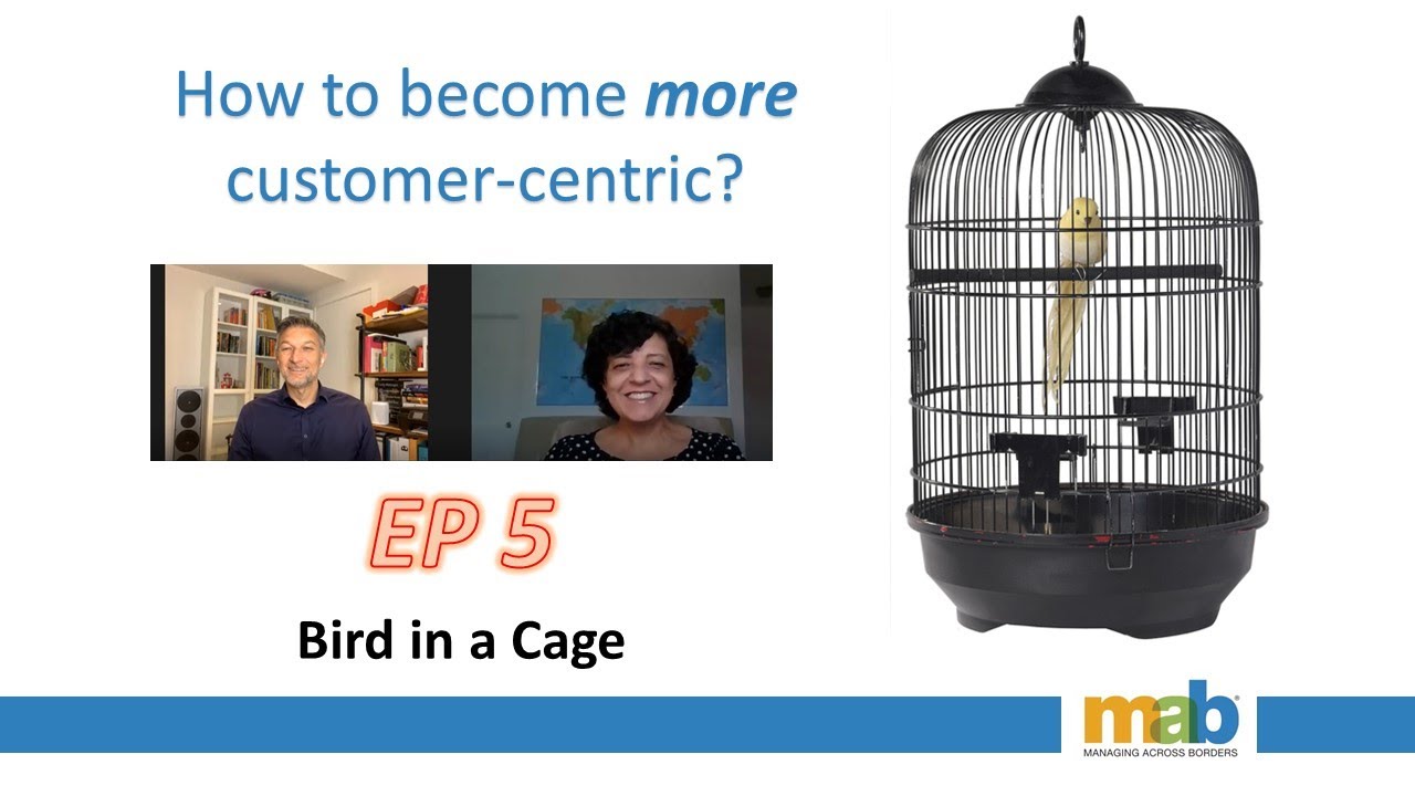 Episode 5 Birdcage YouTube