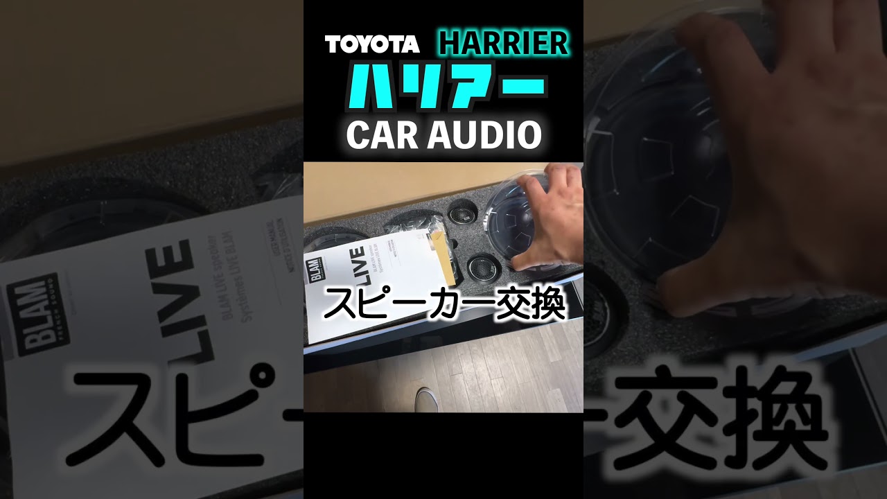 80ハリアー　TOYOTA HARRIER　オーディオサウンド改善するよ！　DSP、スピーカー、デッドニング