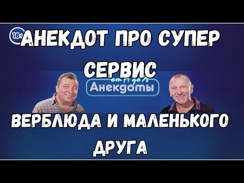 Анекдот про суперсервис, верблюда и маленького друга