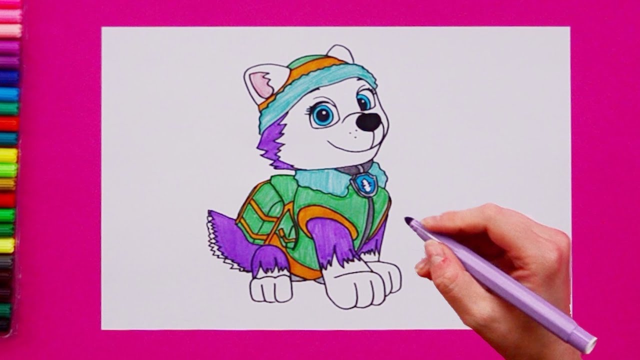 Download Rocky Paw Patrol Embroidery Designs Cartoon Character - Rocky Paw  Patrol Drawing PNG Image with No Background - PNGkey.com