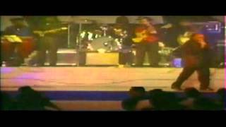 Rebel  And One Dream