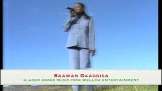 Imaabeet Tolosaa - BISHAAN BAAR HIN CEESISU | *CLASSIC OROMO MUSIC 2022*