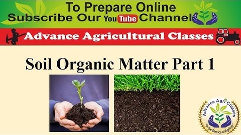 Soil Organic Matter Part 1 IBPS AFO (Hindi/English)