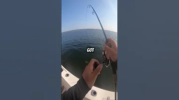 Northern Stargazer Caught In NEW YORK Fishing Fishingtechniques Fish Saltwaterfix 