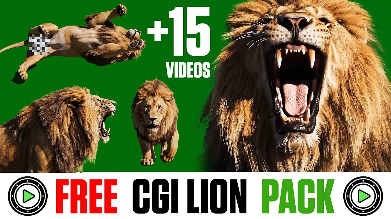 CGI Lion Action Pack Green Screen Video Free Download link