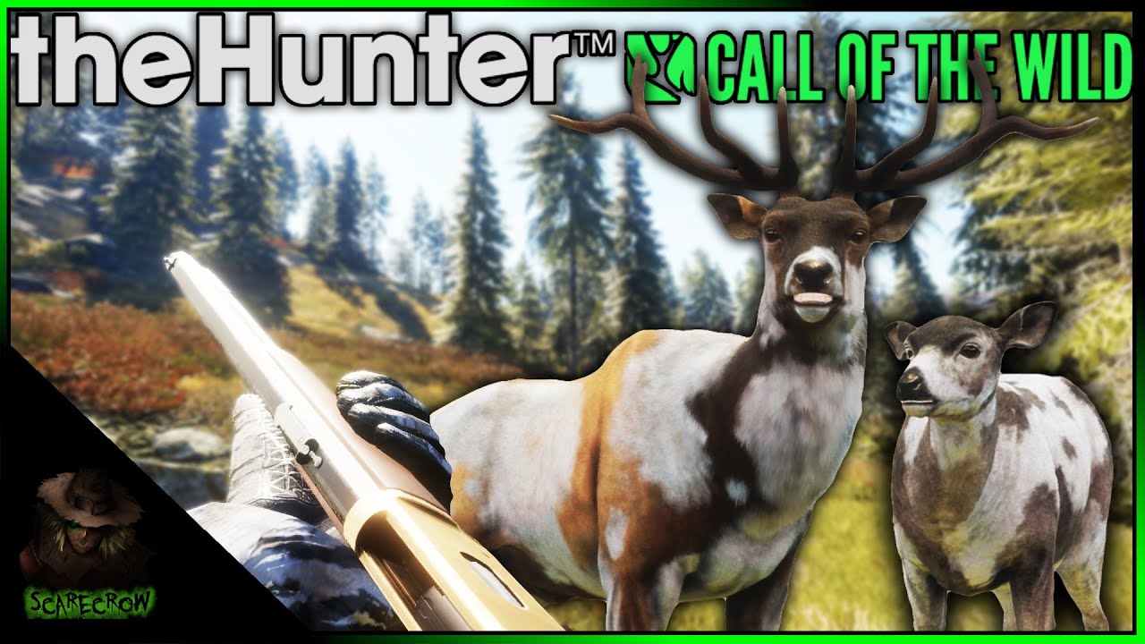 Piebald Blacktail & Roosevelt Elk! Is The 3030 A Good Gun In 2021
