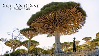 Socotra Island - Yemen | Cinematic 4K Video