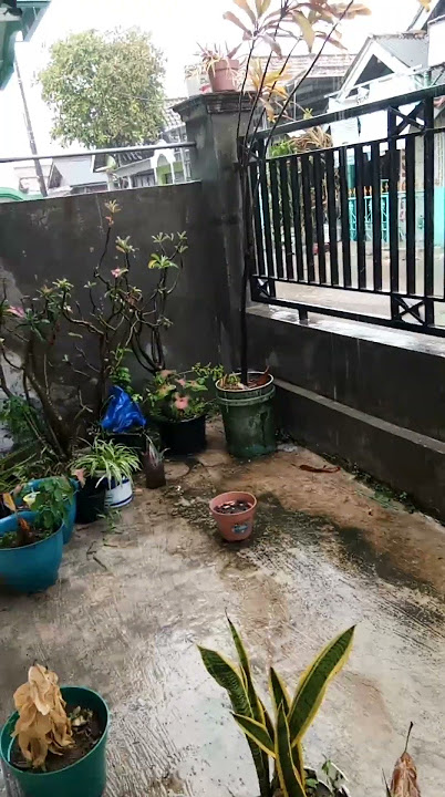 story Wa hujan depan rumah