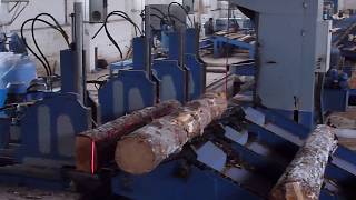 Uzaktan Kumandalı Tomruk Arabası - Rulmak Makina , Деревообрабатывающее , Отрезаний Бревно