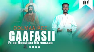 Oolmaa Kee Gaafasii,F/taa Moosisaa Mirreessaa,Dirree Galataa Media