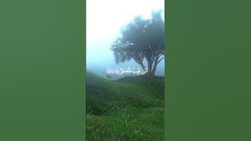 سورة النمل|٦١ـ٦٢|القارئ:#ياسرالدوسري #قران #quran #راحة_نفسية #قران_كريم  #تلاوة_هادئة #تلاوة_خاشعة