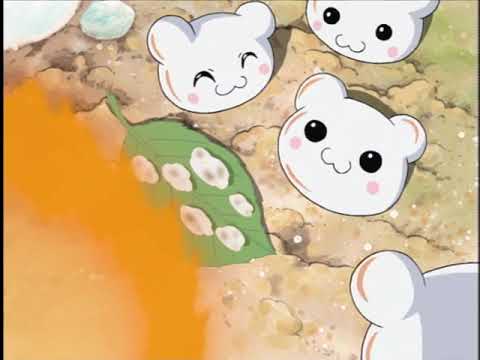 Digimon Adventure 02: Mimi with Yukimibotamon