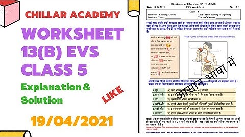 Worksheet 13(B) || Class 5th || EVS || 19-04-2021 || Chillar Academy