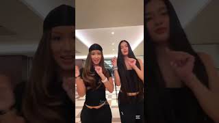 Pitbull Terrier Dance New Tiktok Dance Trend