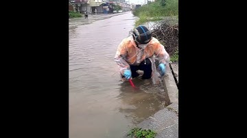 Watching the Flood Disappear