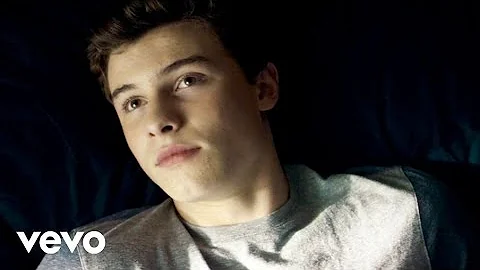 Shawn Mendes - Something Big (Official Music Video)