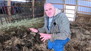 Deep Bedding for Cattle: Our Experience