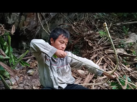 วีดีโอ: วิธีทำธนูสำหรับล่าสัตว์