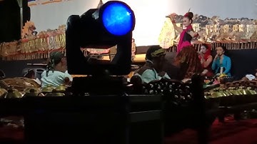 Bajing loncat jaipong