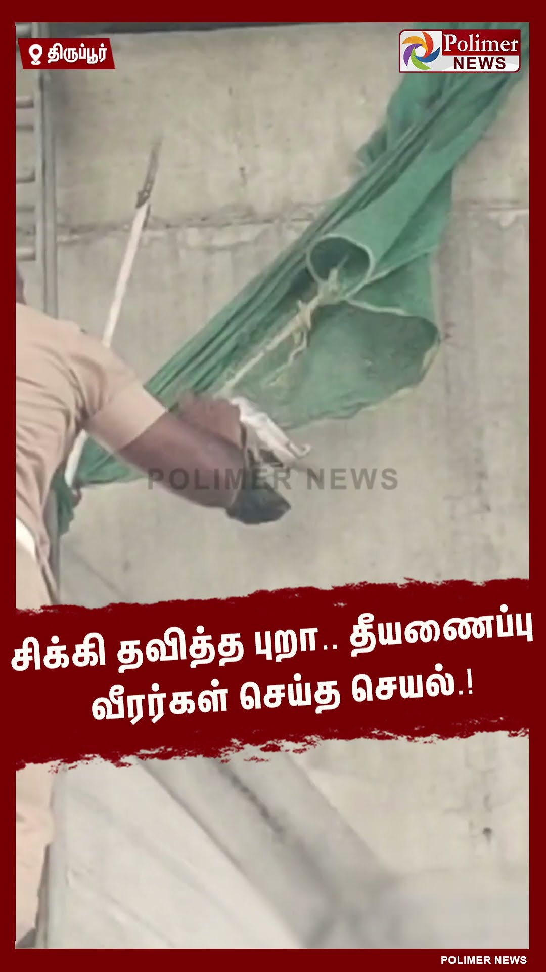 சிக்கி தவித்த புறா.. தீயணைப்பு வீரர்கள் செய்த செயல்.! #shorts
