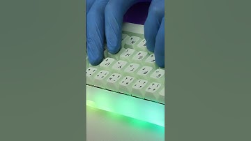 Everglide SK68 Mechanical Keyboard Typing Thocky, Clicky, Satisfying, Typing Test