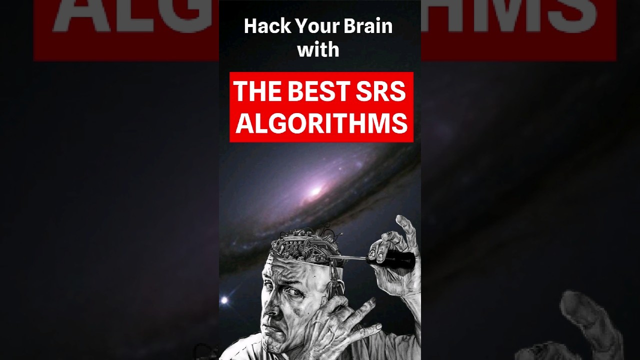 The Best SRS Algorithms for Language Learning ⚡ 