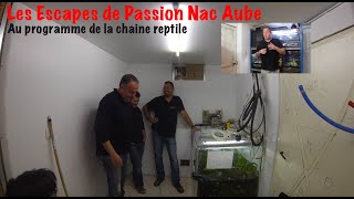 Salle élevage crocodile et reptile , visite chez Youri le programme des escapades