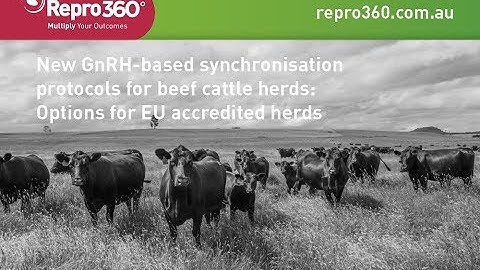New GnRH based synchronisation protocols for beef cattle herds: Options for EU accredited herds