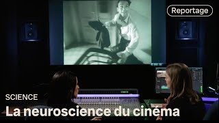 Que se passetil dans notre cerveau quand on regarde un film? | Découverte