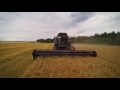 Harvesting Barley | NEW HOLLAND CX8080 Elevation | Mrs. Black | Premiere | 4K