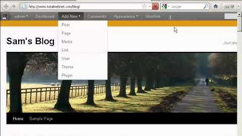 Video 12 - How to Customize Your Wordpress Theme Menu