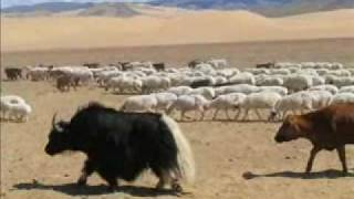 Mongolia 2004