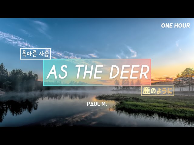 As The Deer - One Hour of Praise & Worship on Piano⎪Peaceful Relaxing Prayer Instrumental // PAUL M. class=
