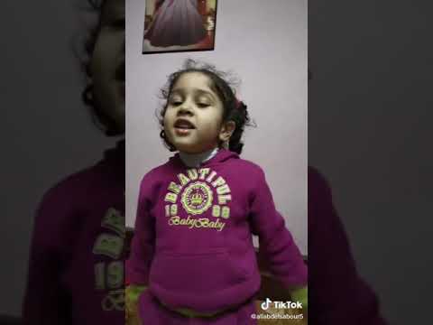 سقف رامي جمال