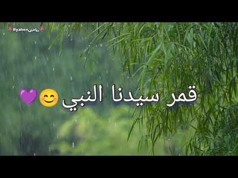 قمر سيدنا النبي حالات واتس اب دينية أناشيد دينية مصطفى عاطف