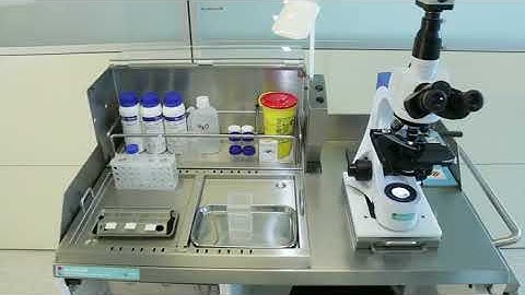 RoseSTATION: Rapid on site evaluation station for FNA